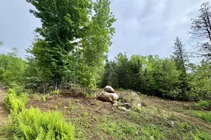 Lot 10 Mt Jefferson Heights, Lee, ME 04455 - Photo 1