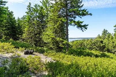 4 Highlands Lane, Mount Desert, ME 04662 - Photo 85