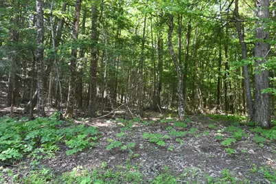 Po M11 L46 Woodcock Lane, Skowhegan, ME 04976 - Photo 7