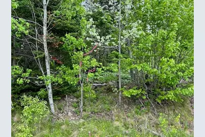 Lot 29-001 Fifth Avenue, Pembroke, ME 04666 - Photo 3