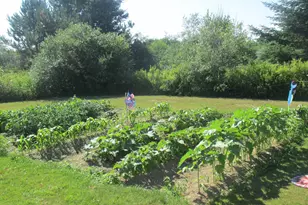 1312 Macomber Mill Rd, Eastbrook, ME 04634 - Photo 23