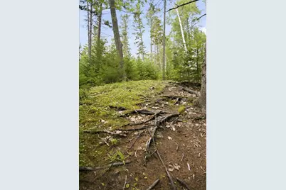111 Franks Flat, Sedgwick, ME 04676 - Photo 73
