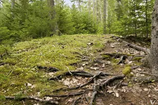 111 Frank's Flat, Sedgwick, ME 04676 - Photo 73