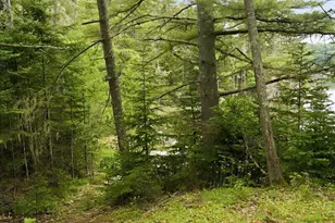 111 Frank's Flat, Sedgwick, ME 04676 - Photo 75