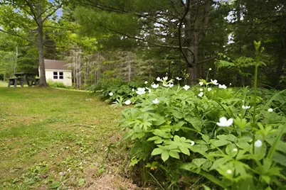 111 Franks Flat, Sedgwick, ME 04676 - Photo 71