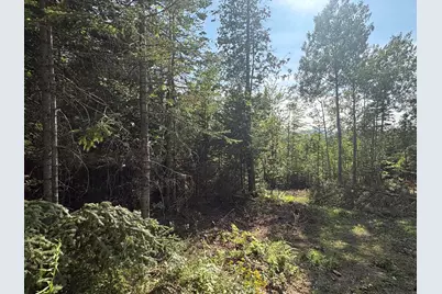 Lot 13 Mt. Jefferson Heights, Lee, ME 04455 - Photo 7