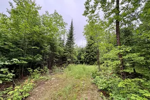 Lot 1 Mt Jefferson Heights, Lee, ME 04455 - Photo 1