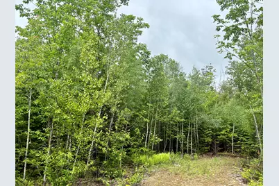 Lot 4 Mt. Jefferson Heights, Lee, ME 04455 - Photo 3