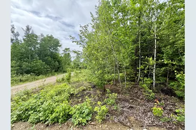 Lot 4 Mt. Jefferson Heights, Lee, ME 04455 - Photo 3