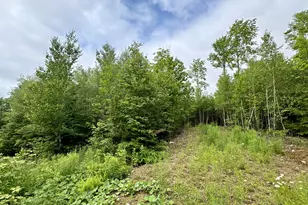 Lot 5 Mt Jefferson Heights, Lee, ME 04455 - Photo 1
