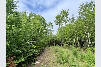 Lot 5 Mt. Jefferson Heights, Lee, ME 04455 - Photo 3