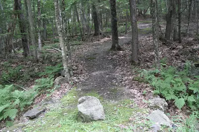 16 Lovejoy Lane, Readfield, ME 04355 - Photo 47