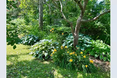 59 Cedar Street, Belfast, ME 04915 - Photo 35