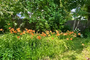 59 Cedar St, Belfast, ME 04915 - Photo 85