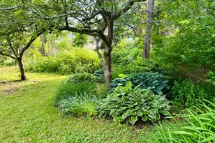59 Cedar St, Belfast, ME 04915 - Photo 83