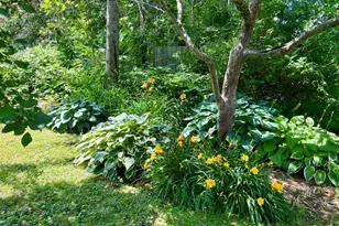 59 Cedar St, Belfast, ME 04915 - Photo 41