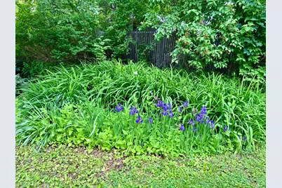 59 Cedar Street, Belfast, ME 04915 - Photo 75