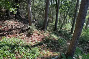 9 + 11 Orion Point Way, Harpswell, ME 04079 - Photo 69