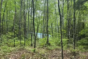 68 George Thomas Rd, New Sharon, ME 04955 - Photo 11