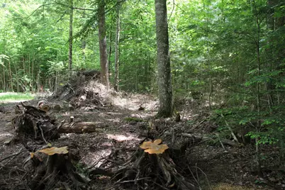 Lot 41 Salmon Road, Madison, ME 04950 - Photo 5