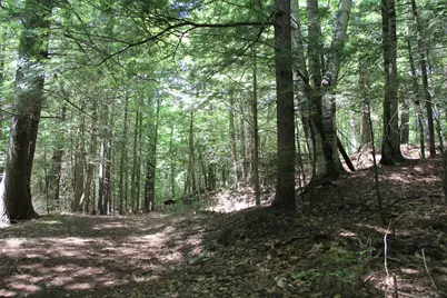 Lot 41 Salmon Road, Madison, ME 04950 - Photo 3