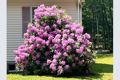 4 McKenna Lane, York, ME 03909 - Photo 35