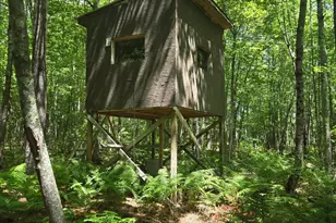 168 Pittsfield Ave, Palmyra, ME 04965 - Photo 7