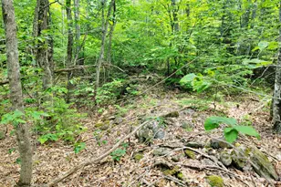 477 Hadley Mill Rd, Jackson, ME 04921 - Photo 13