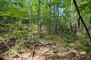 477 Hadley Mill Rd, Jackson, ME 04921 - Photo 17