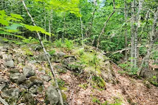 477 Hadley Mill Rd, Jackson, ME 04921 - Photo 15