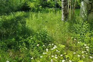 477 Hadley Mill Rd, Jackson, ME 04921 - Photo 25