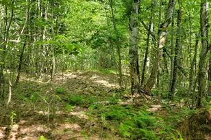 477 Hadley Mill Rd, Jackson, ME 04921 - Photo 23