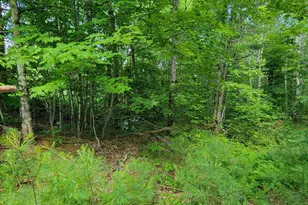 477 Hadley Mill Rd, Jackson, ME 04921 - Photo 31