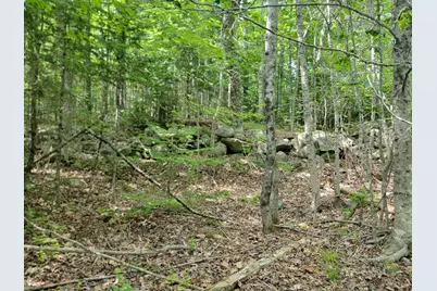 477 Hadley Mill Road, Jackson, ME 04921 - Photo 19