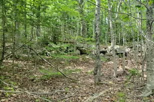 477 Hadley Mill Rd, Jackson, ME 04921 - Photo 19