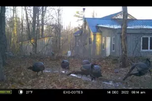 608 Adams Rd, Waterville, ME 04938 - Photo 45