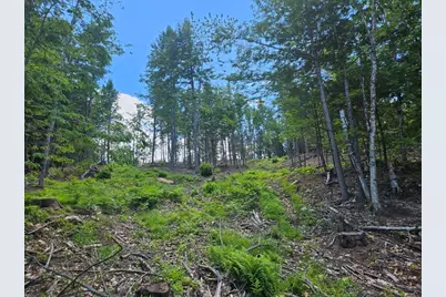 Multiple Quaker Ridge Road, Leeds, ME 04263 - Photo 47