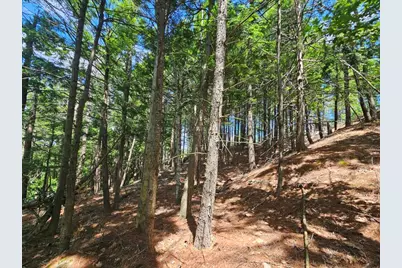 Multiple Quaker Ridge Road, Leeds, ME 04263 - Photo 17