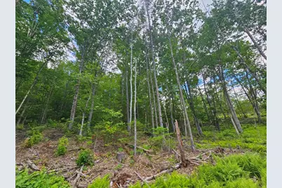 Multiple Quaker Ridge Road, Leeds, ME 04263 - Photo 43