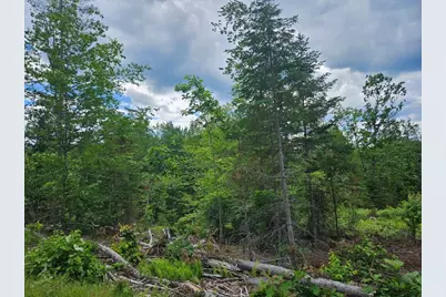 Multiple Quaker Ridge Road, Leeds, ME 04263 - Photo 27