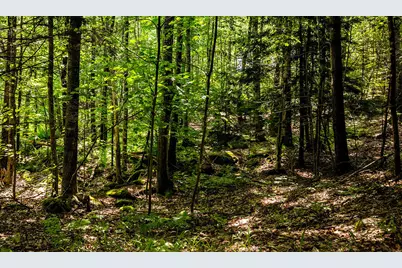 5 Gosses Hill Road, Camden, ME 04843 - Photo 31