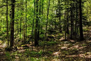 5 Gosse's Hill Rd, Camden, ME 04843 - Photo 31