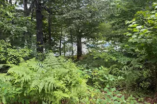 14 Emerson Dr, Windham, ME 04062 - Photo 5