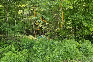 645 Kimball Pond, New Sharon, ME 04955 - Photo 33