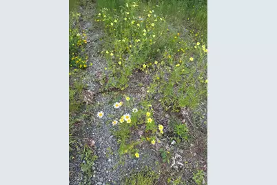 967 Milo Road, Sebec, ME 04481 - Photo 5