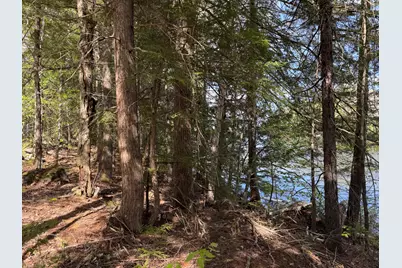 00 Elbow Lake Road, T3 Indian Purchase Twp, ME 04462 - Photo 19