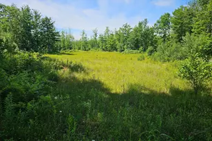579 Maple Ridge Rd, Harrison, ME 04040 - Photo 1