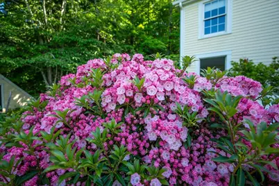 8 Old Austin Road, Newcastle, ME 04553 - Photo 75