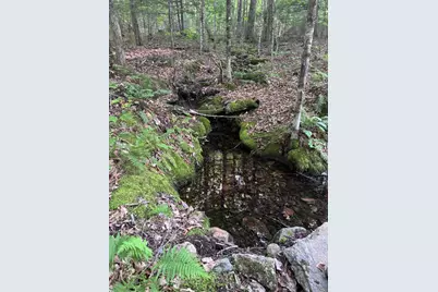 Lot #22 Streaked Mountain Road, Buckfield, ME 04220 - Photo 5