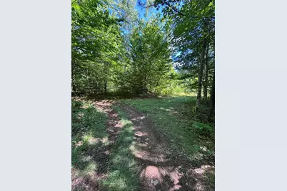 Lot #22 Streaked Mountain Road, Buckfield, ME 04220 - Photo 11